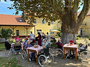 Grillfest unter der Platane, September 2026