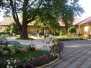 Der Hof mit der großen Platane