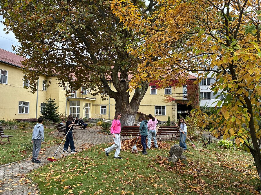 Schülerinnen und Schüler der 14er-Schule rechen Laub unter der großen Platane im Hof